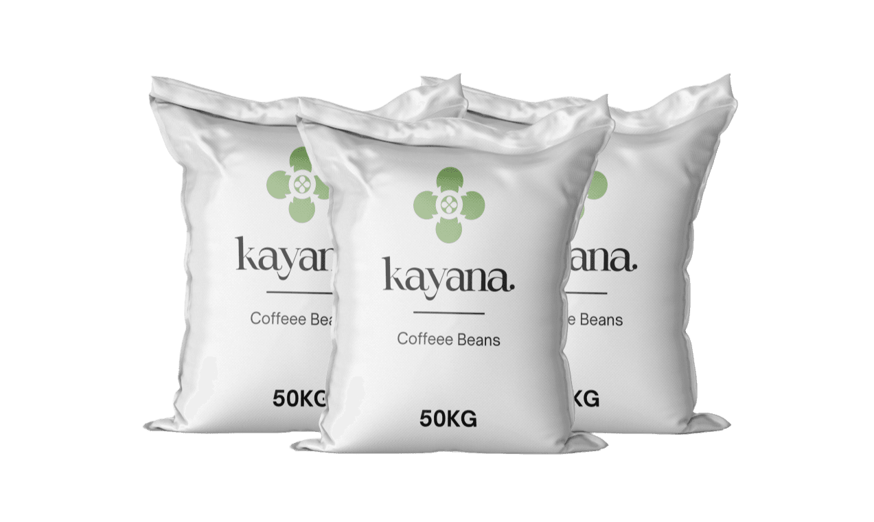 Gayo Coffee Varieties